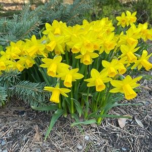 Meet your Posher, Tanya